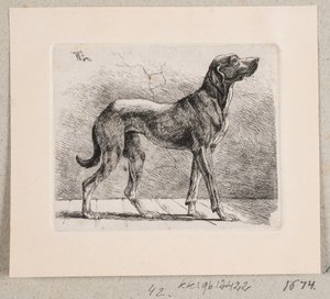 Un perro de pie de Johannes Wilhelm Zillen