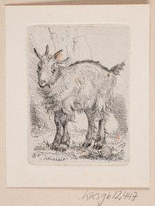Un cabrito de Johannes Wilhelm Zillen