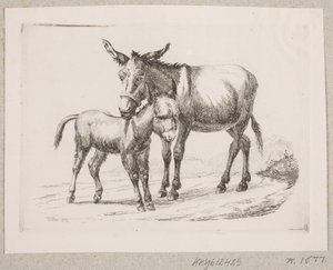 Un burro con su cría de Johannes Wilhelm Zillen