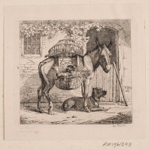 El burro del vendedor de gallinas