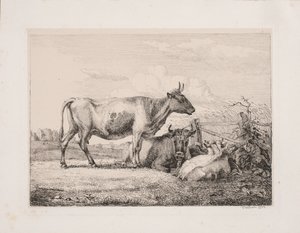 Vacas en el campo