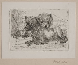 Dos perros acostados de Johannes Wilhelm Zillen