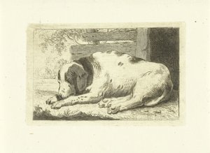 perro durmiendo de Johannes van Cuylenburgh