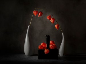 Espectaculares faroles chinos de John-Mei Zhong