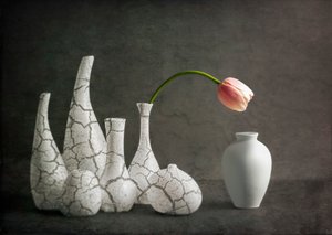 Jarrones agrietados con tulipanes rosas de John-Mei Zhong