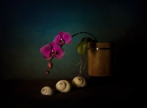 Naturaleza muerta con orquídeas moradas de John-Mei Zhong