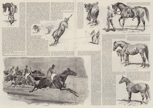 La carrera de un caballo de carreras (grabado) de John (after) Charlton