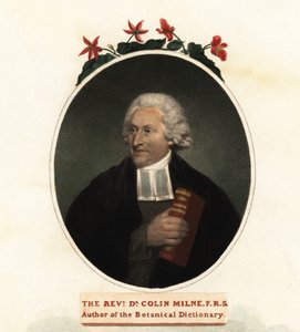Retrato de Colin Milne, botánico.1806 (grabado) de John (after) Russell