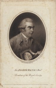 Sir Joseph Banks, naturalista, botánico y presidente de la Royal Society inglés