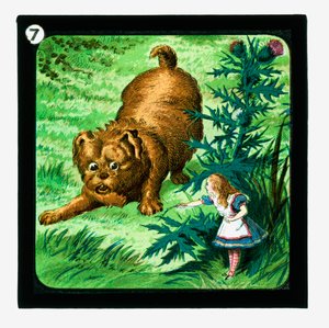 Alicia en el País de las Maravillas, diapositivas coloreadas de John (after) Tenniel