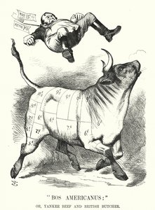 Caricatura de Punch: Bos Americanus; o, carne de res yanqui y carnicero británico - beneficios esperados para los consumidores de la importación de carne americana (grabado) de John (after) Tenniel