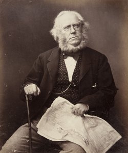 Mr James Playfair, Glasgow, 1855 de John Adamson