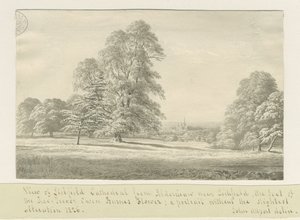 Catedral de Lichfield - Vista desde Aldershaw (distante)