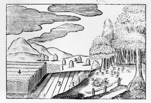 Frutos de la Tierra de John Amos Comenius