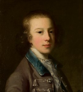 Retrato de George Byng, cuarto vizconde de Torrington (1740-1812) cuando era niño, c.1750-87 (óleo sobre lienzo) de John Astley