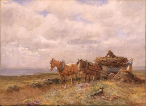 Transporte de turba