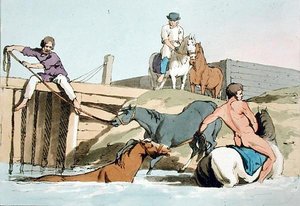 Caballos bañándose de John Augustus Atkinson