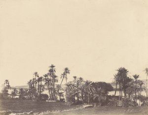 [Orillas del Nilo, Kalabsché] de John Beasley Greene