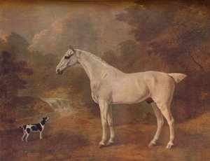 Un gris picado de pulgas y un terrier manchado, 1803