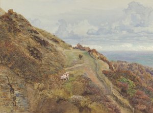 Bonchurch Downs, 1865 de John Brett
