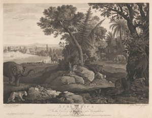 África de John Browne