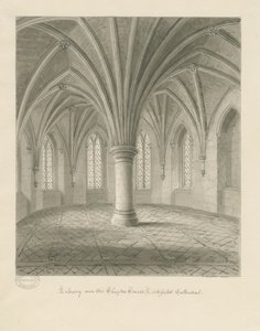 Interior de la Catedral de Lichfield - Biblioteca sobre la Sala Capitular de John Buckler