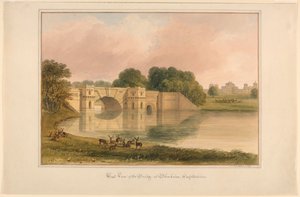Vista oeste del puente en Blenheim, Oxfordshire de John Buckler, F.S.A.