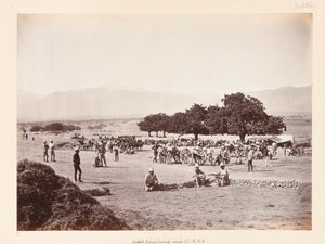 Campamento de Safed Sang de John Burke