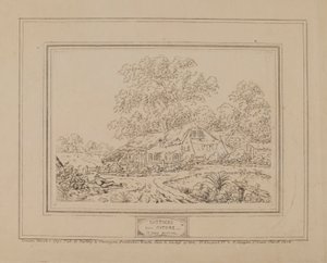 Cabañas de la Naturaleza (con árbol central)
