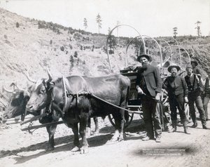 Fiebre del oro en Dakota del Sur de John C. H. Grabill
