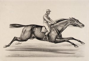 Emperador de Norfolk de John Cameron