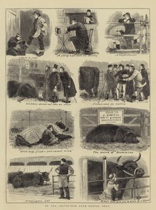 En la Exposición de Ganado del Club Smithfield de John Charles Dollman