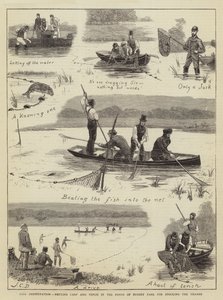Preservación de peces, captura de carpas y tencas en los estanques de Bushey Park para repoblar el Támesis