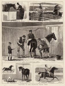Bocetos en la exposición de caballos de Islington