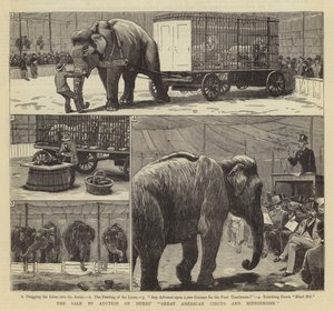 La venta por subasta del Gran Circo y el Hipódromo Americano de Myers
