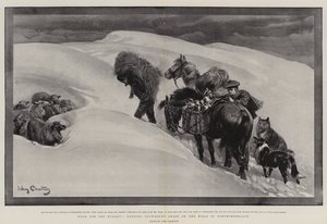 Comida para los Hambrientos, atendiendo Ovejas Atrapadas por la Nieve en las Colinas de Northumberland