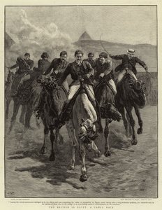 Los británicos en Egipto, una carrera de camellos