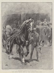 La exposición de caballos Shire en el Salón Agrícola de John Charlton