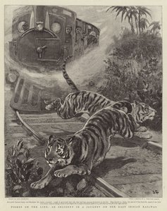 Tigres en la línea, un incidente en un viaje por el ferrocarril de la India Oriental de John Charlton
