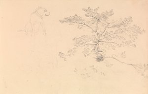 Estudio de un perro con collar y de ramas de árbol de John Christian Schetky