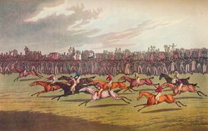 Carreras, siglo XIX
