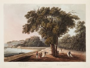 St Cloud, El Gran Paseo de St Cloud, El Puente de Sèvres, etc. etc., ilustración de Versalles, París y Saint Denis, pub. 1805 de John Claude Nattes