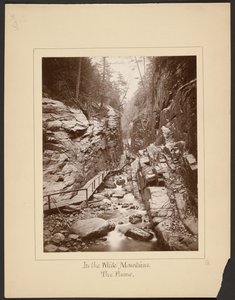 En las Montañas Blancas/The Flume de John Coates Browne