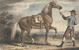 Muchacho de establo sosteniendo un caballo en un paisaje de John Collet