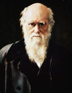 Retrato del naturalista inglés Charles Darwin (detalle) de John Collier