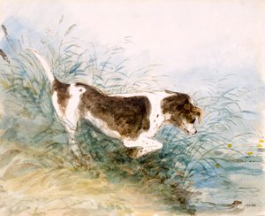 Un perro mirando una rata en el agua, 1831 de John Constable