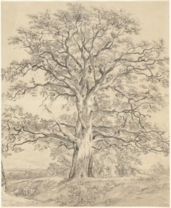 Un gran roble de John Constable