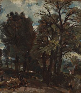 Fen Lane, East Bergholt