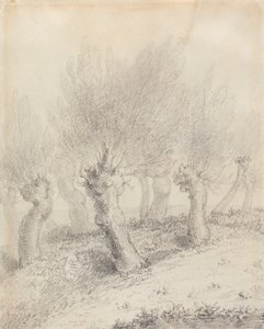  de John Constable