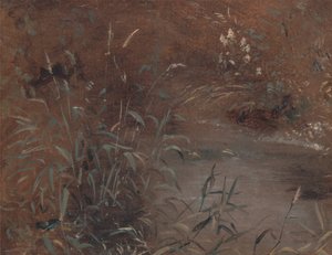 Juncos junto a un estanque, ca. 1821